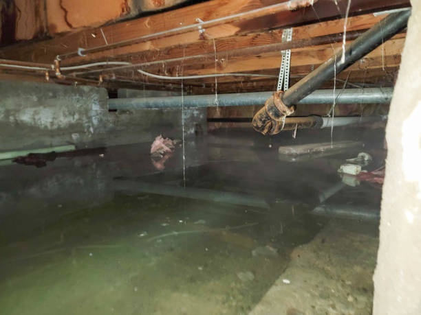 Best 24/7 water damage repair  in Ferris, TX