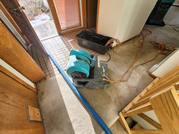 Best Emergency water damage restoration  in Ferris, TX