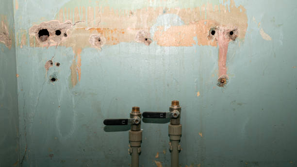 Best Emergency water damage restoration  in Ferris, TX